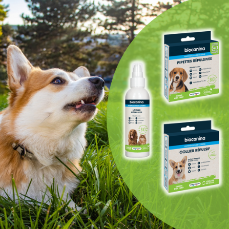 Les produits répulsifs Biocanina