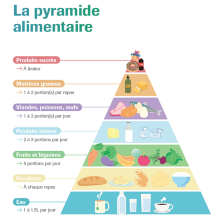 La pyramide alimentaire et les principes d'une bonne alimentation