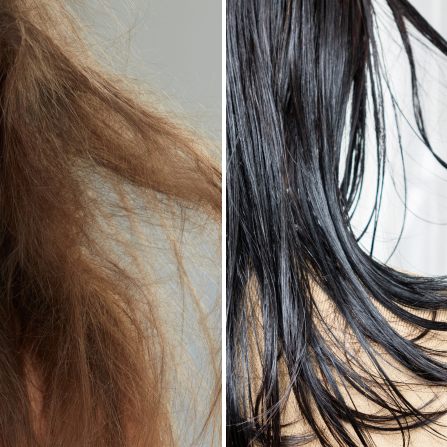 Comparaison entre cheveux secs et cheveux gras