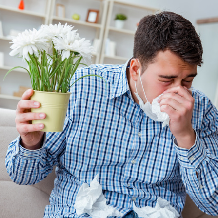 Un homme tient un pot de fleur, éternue et se mouche