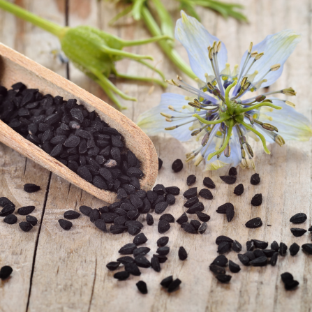 Une fleur de nigelle ave des graines de nigelle