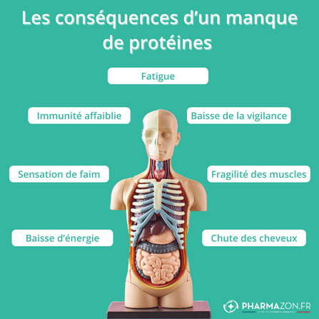 Les différents symptômes d'un manque de protéines