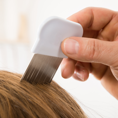 Une main fait passer une peigne anti-poux dans les cheveux