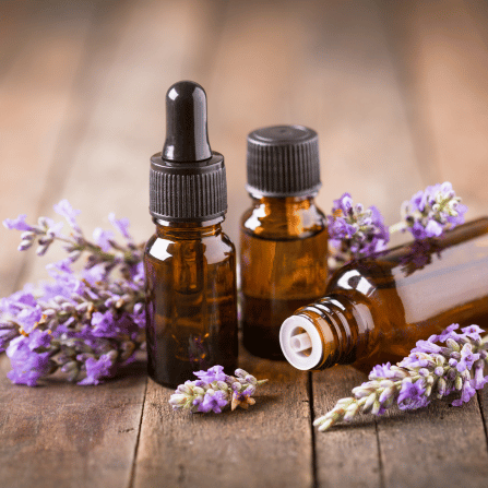 Lavande officinale contre les maux de tête