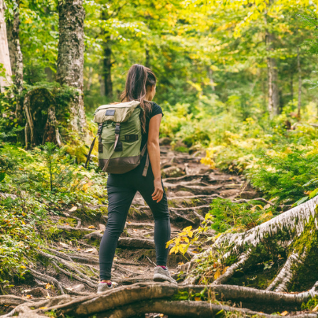 Une femme fait de la randonnée en forêt, on la voit de dos se déplaçant sur des racines d'arbres formant un escalier