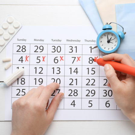 Un calendrier pour cocher les dates correspondantes au cycle menstruel