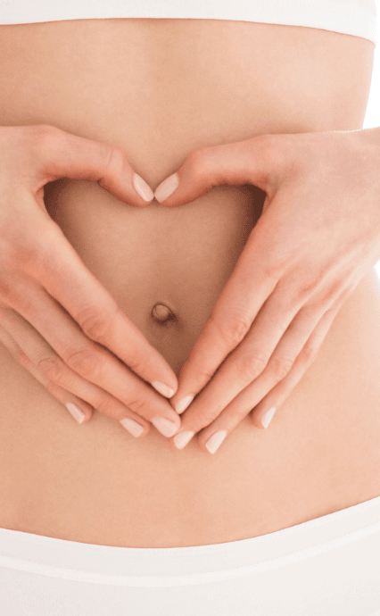 Digestion