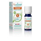 Eucalyptus Citronné BIO - 10ml
