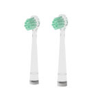 Têtes de brosse à dents vert d'eau - Boite de 2