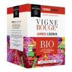 Vigne Rouge BIO 10ml boite de 20