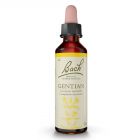 Gentian 20ml