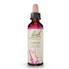 Larch 20ml