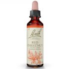 Red Chestnut 20ml