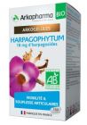 Harpagophyton BIO gélules boite de150