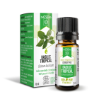 BIO Basilic tropical Flacon de 10ml