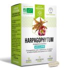 Harpagophytum BIO Boite de 15