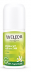 roll-on 24H citrus 50ml