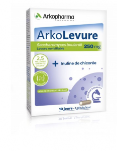 gélules sous blister 250mg boite de 10