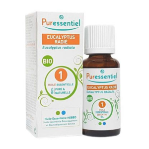 Eucalyptus radié BIO - 30ml