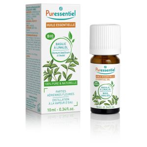 Basilic à linalol BIO - 10ml