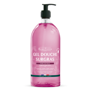 Figue 1L