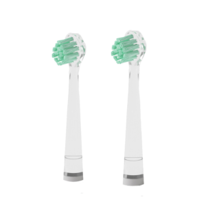 Têtes de brosse à dents vert d'eau - Boite de 2
