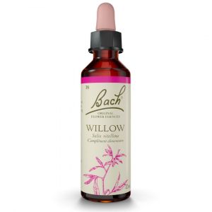 Willow 20ml