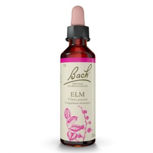 Elm 20ml