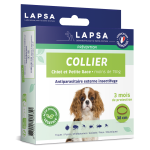 Chiot et petit race chien - Boite de 1 collier