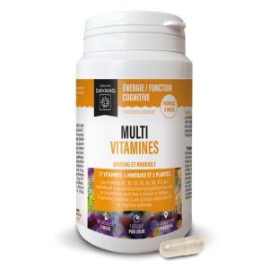 Multivitamines Ginseng Rhodiole Boite de 90