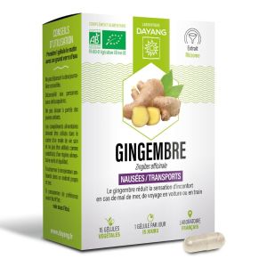 Gingembre BIO boite de 15