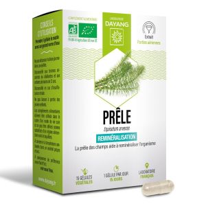 Prêle BIO Boite de 15