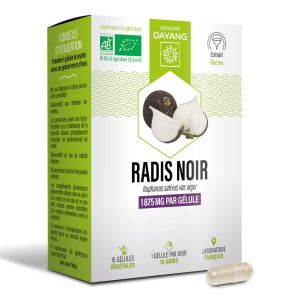 Radis noir BIO Boite de 15