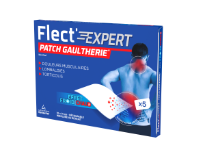 Patchs Gaulthérie Boite de 5