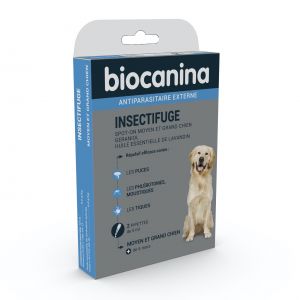 Moyen et grand chien Boite de 2 pipettes 5ml 