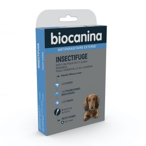 Petit chien Boite de 2 pipettes 2.5ml 