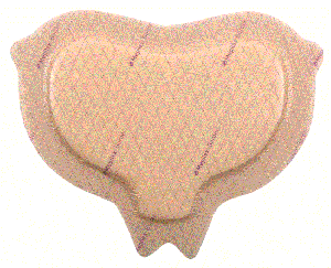 16cm x 20cm - Boite de 10