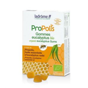 Gommes bio Eucalyptus - Boite de 45g