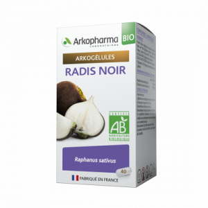 radis noir bio boite de 40