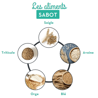 infographie qui indique à quoi correspondent les aliments SABOT (Seigle, Avoine, Blé, Orge, Triticale)