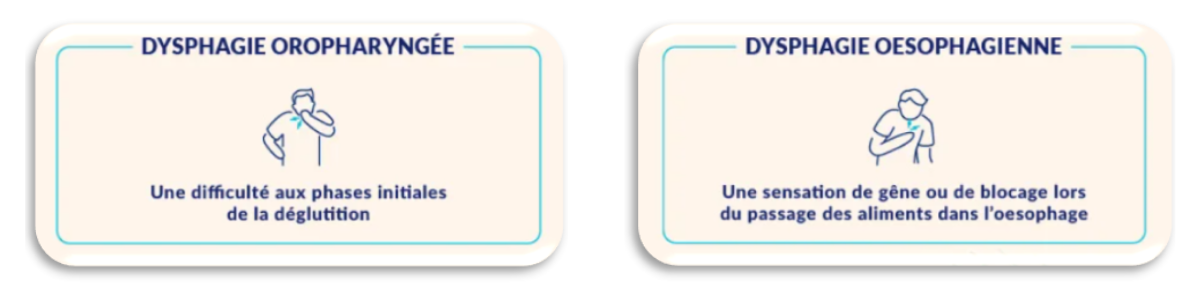 les différents types de dysphagie : la dysphagie oropharyngée et la dysphagie œsophagienne